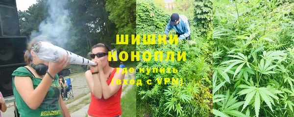 гидропоника Белокуриха