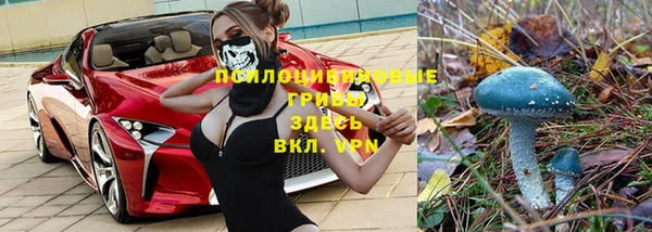 бошки Беломорск