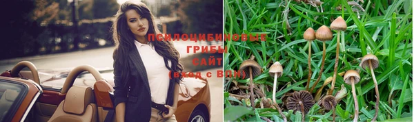 соль ск Богородицк